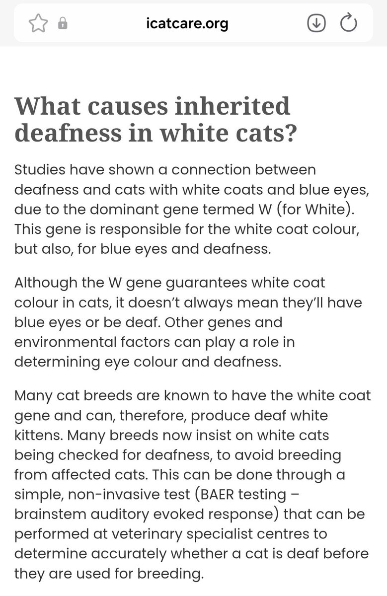 Ms.Ducky tweet media