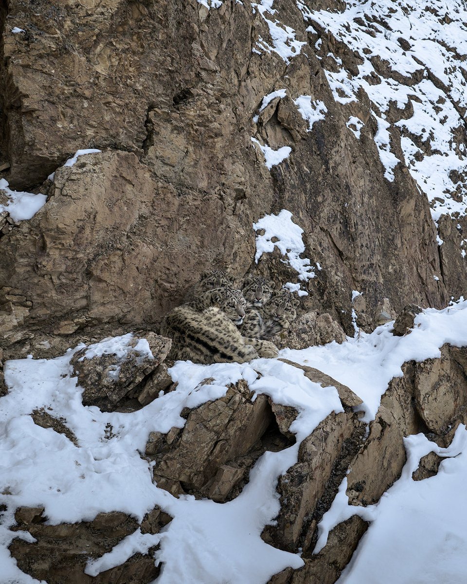 aestheticsguyy's tweet photo. The ghosts of the mountains https://t.co/eLzSh7wZ9B
