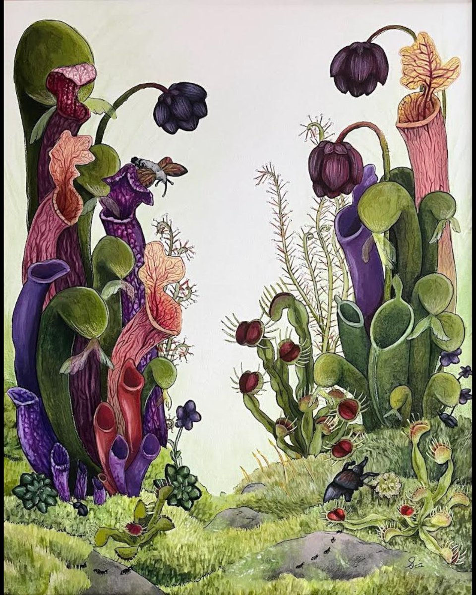 Chardon Schools tweet media