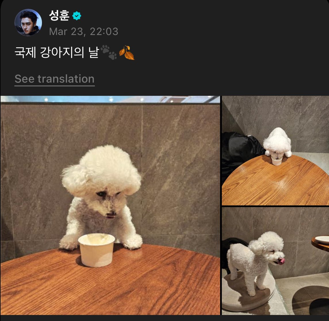 jakehoon files 🦮🐩 tweet media