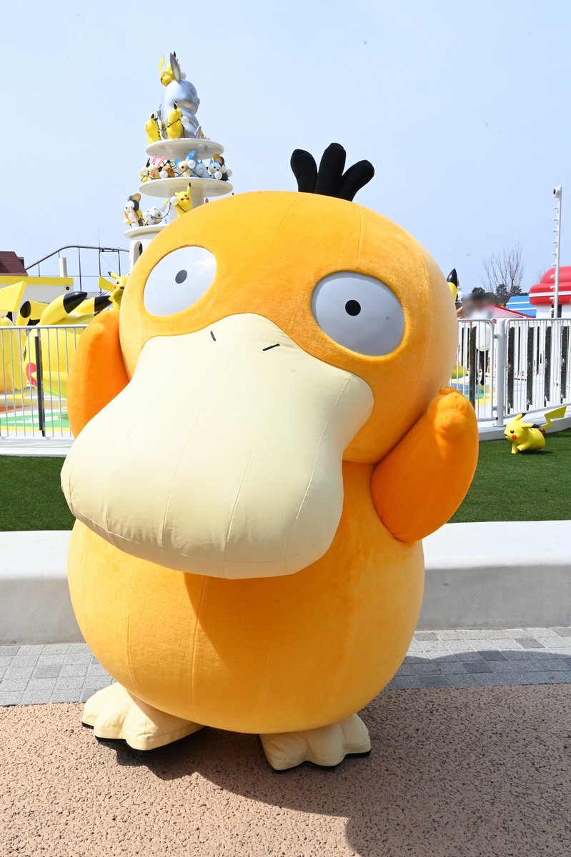 だい ほっしー⭐️ tweet media