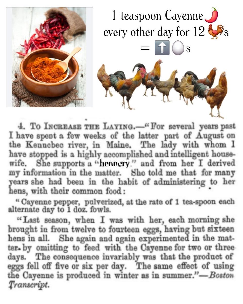 Derek Alexander tweet media