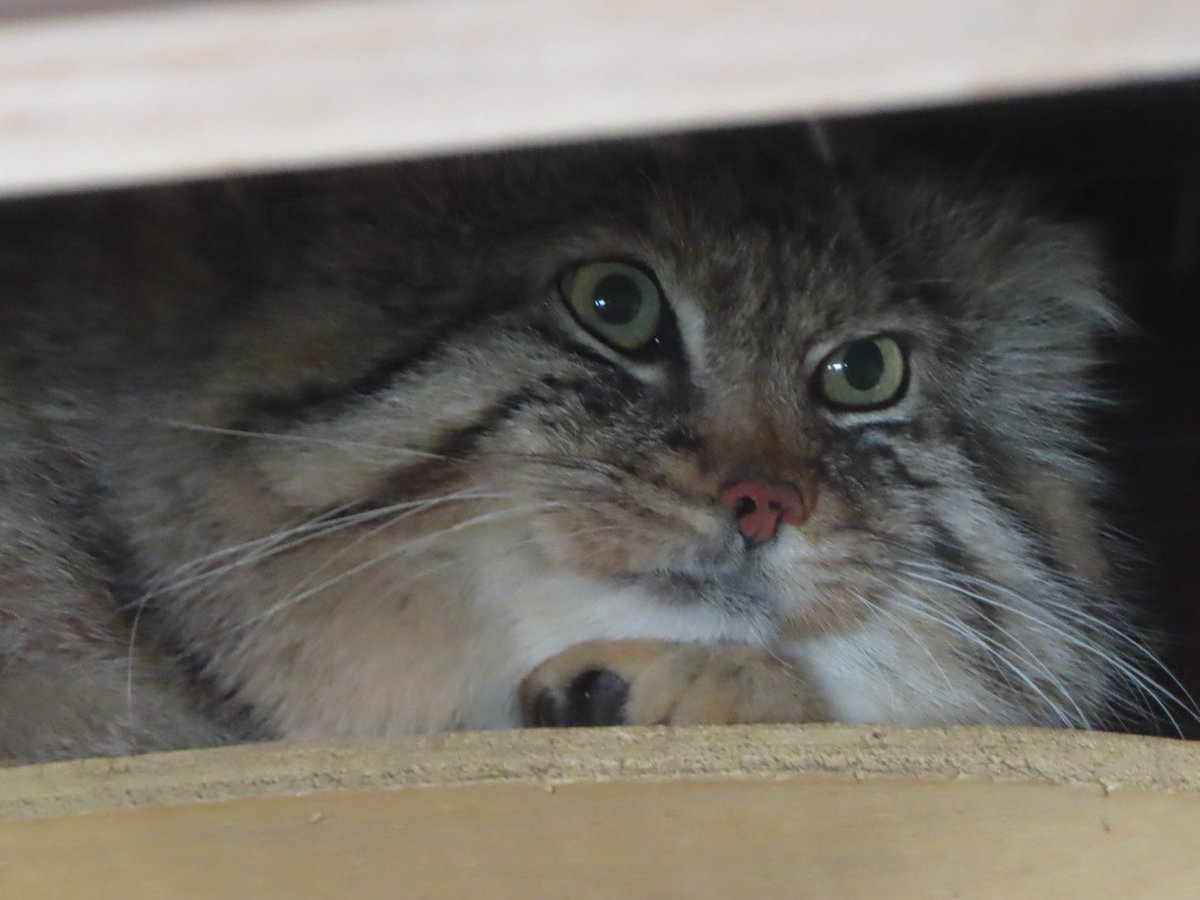 ゆーや★ tweet media