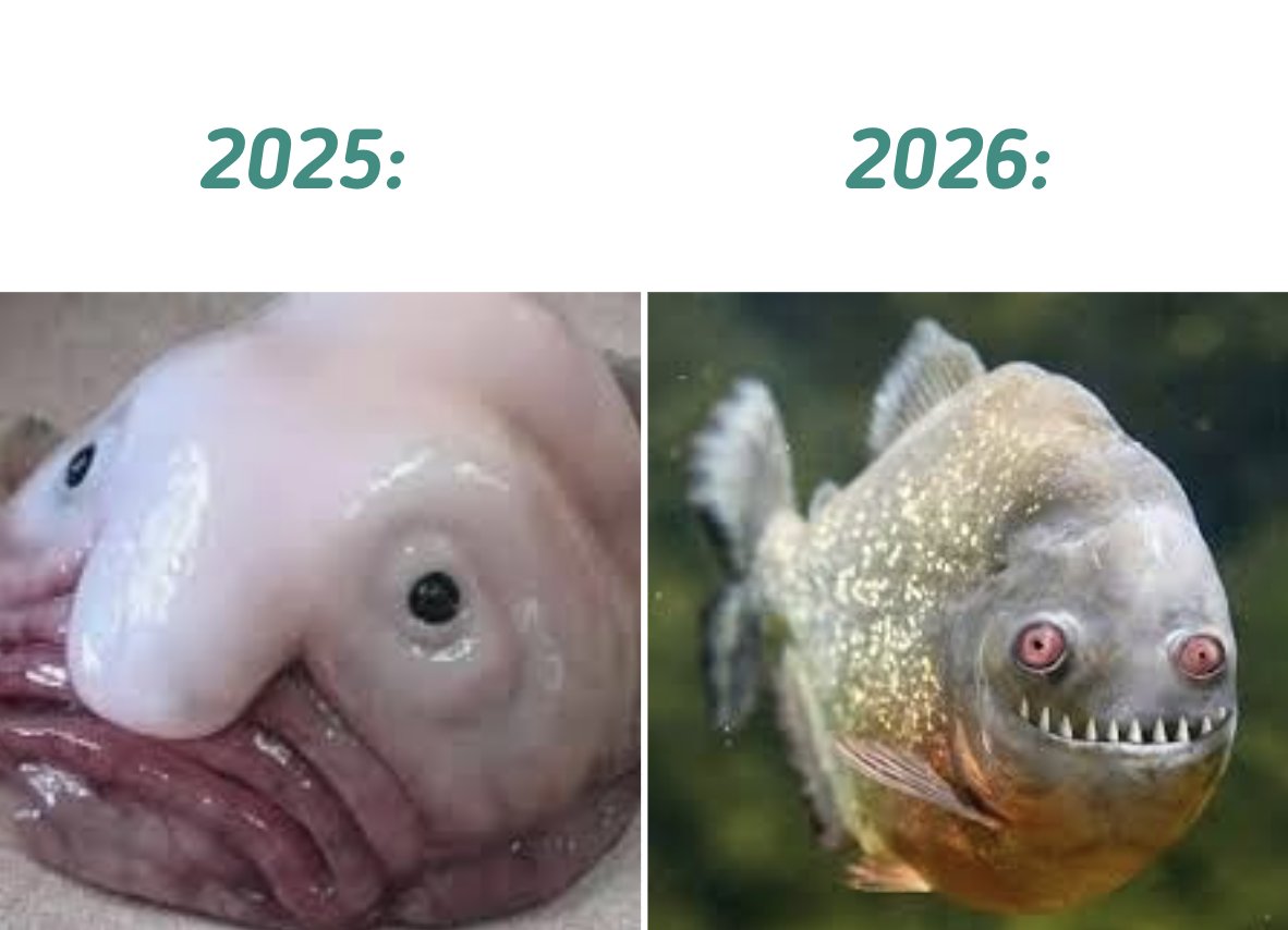 Filiżanka — Польша Новости tweet media