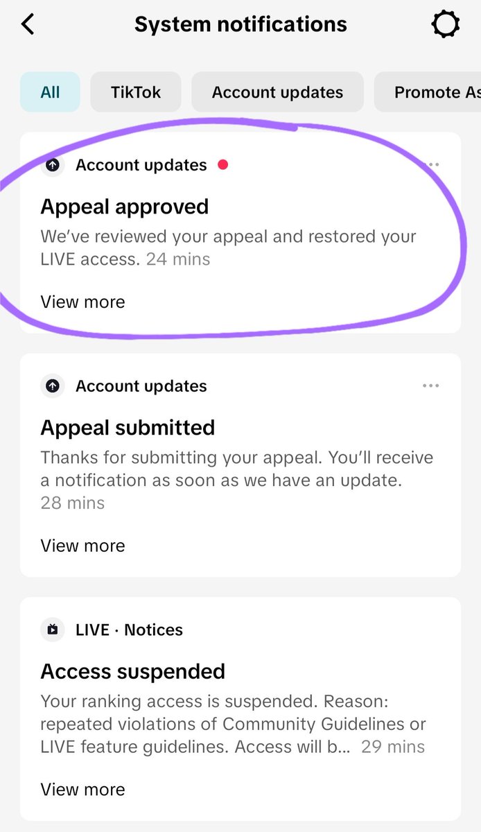 Pixie Cakeface tweet media
