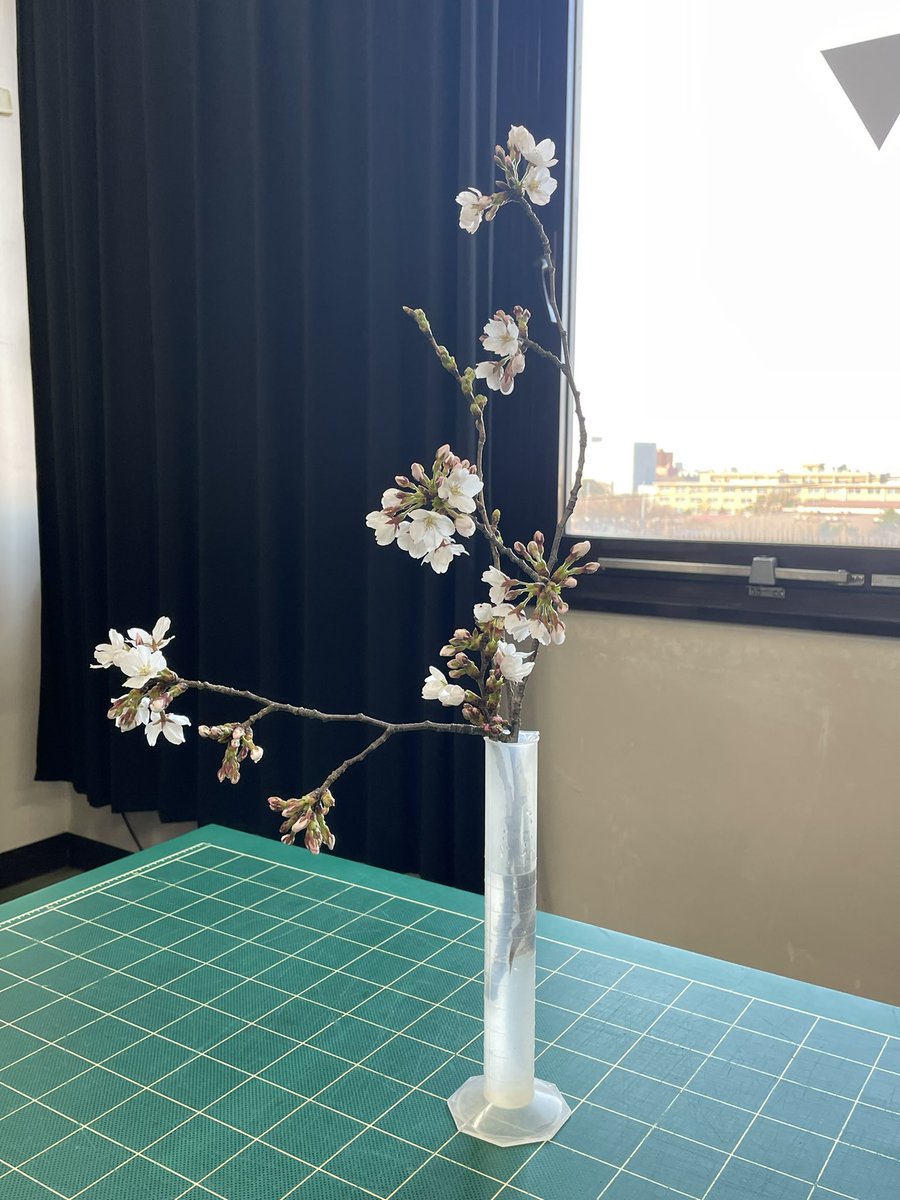 さいど tweet media