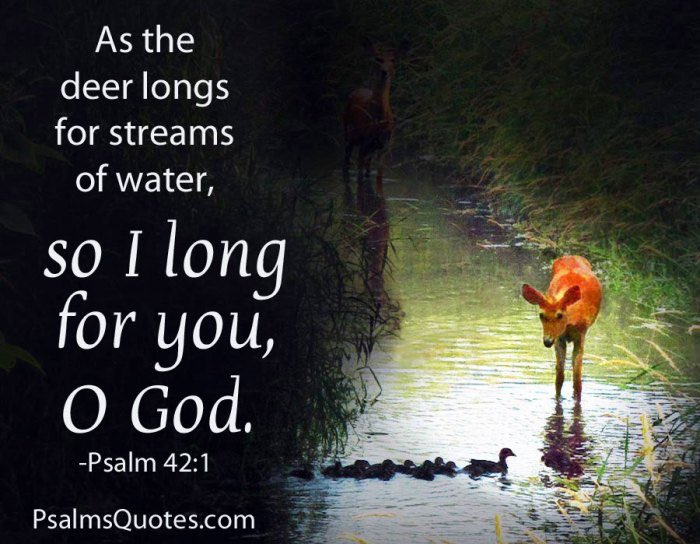 Sir_Charlsss Unchained! tweet media