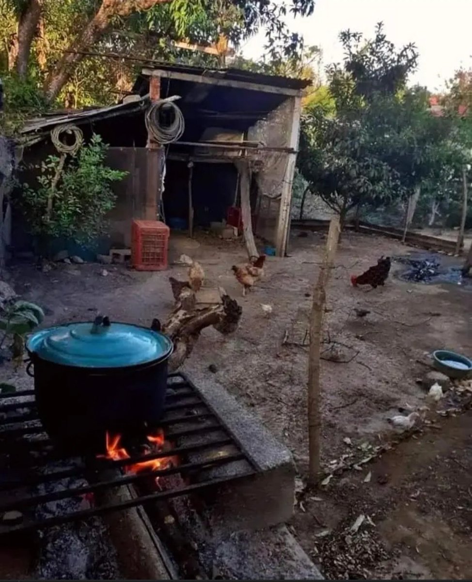 Juan Posada #SlavaUcraini 🇺🇦🇺🇦🇺🇦 tweet media