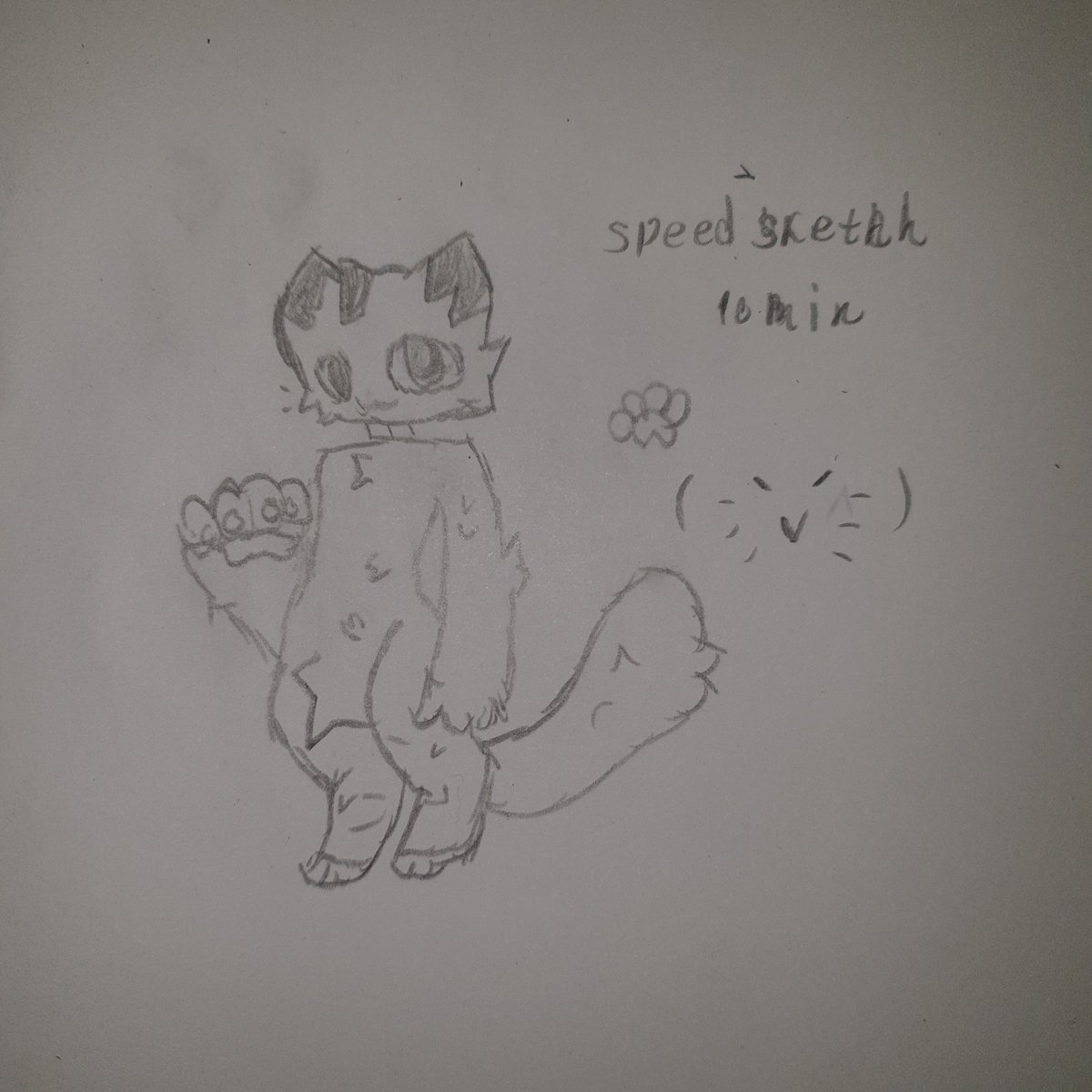 JetLagKitty tweet media