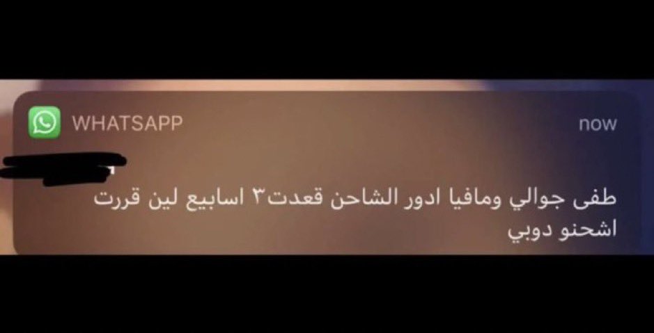 Salman 🐢 tweet media