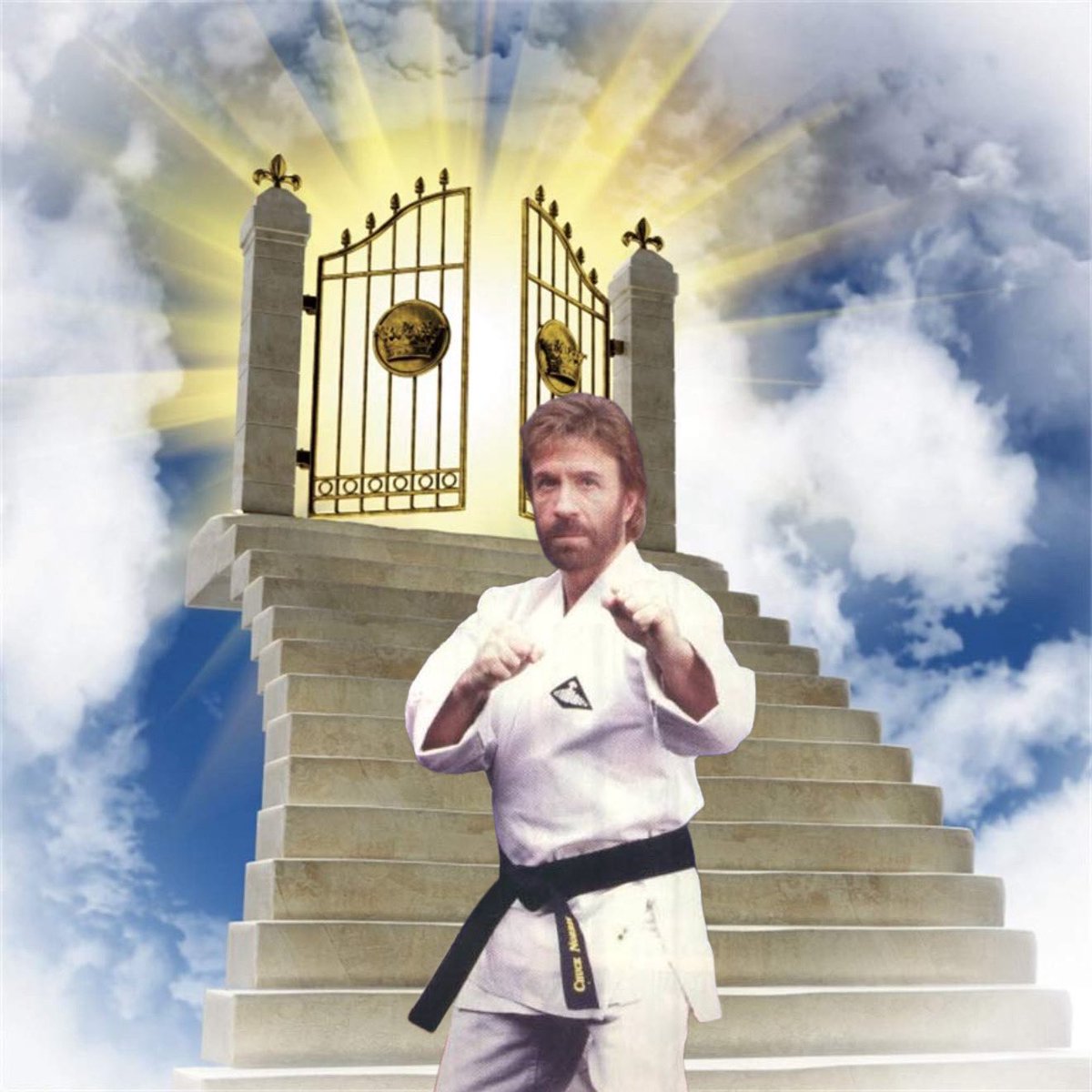 Mostly Peaceful Memes tweet media