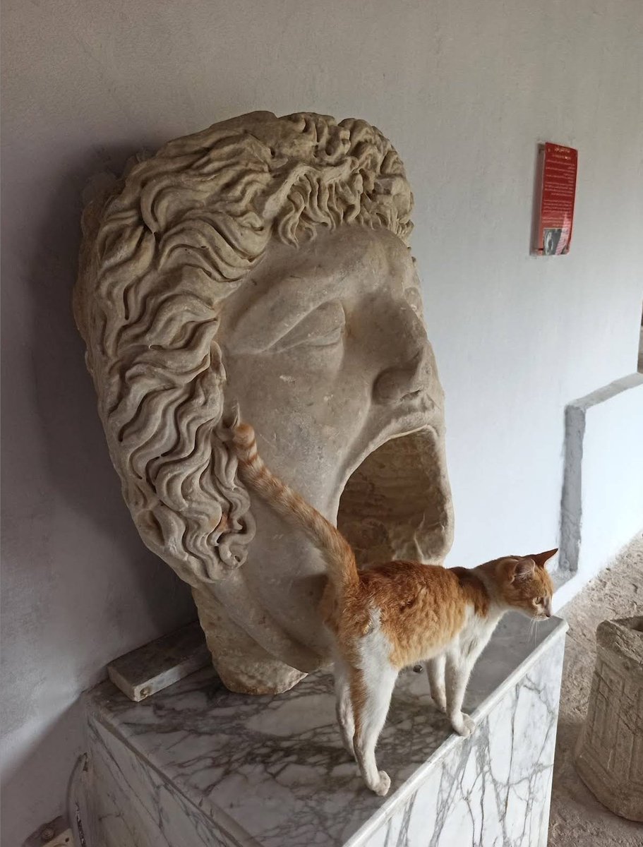 𝑠𝑒𝑟𝑒𝑛𝑎 tweet media