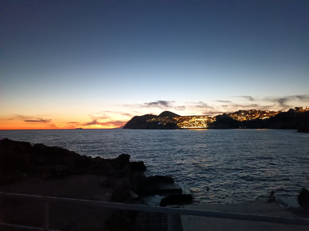 Concierge of Crime tweet media