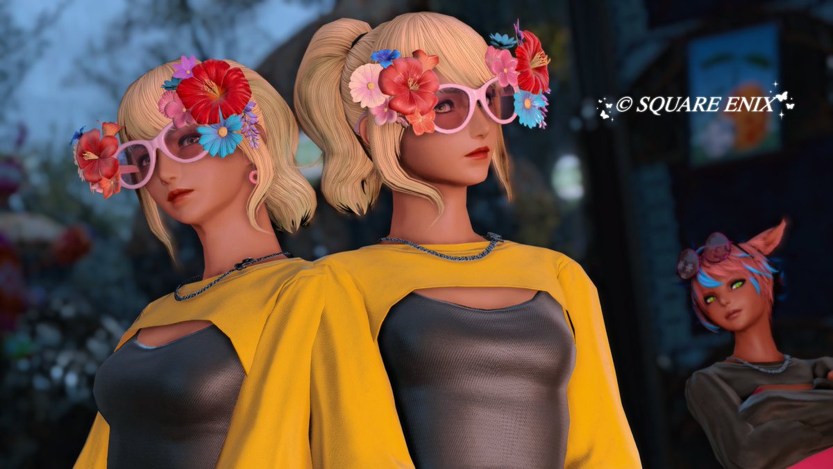 🫶猫のシロ🐝 tweet media