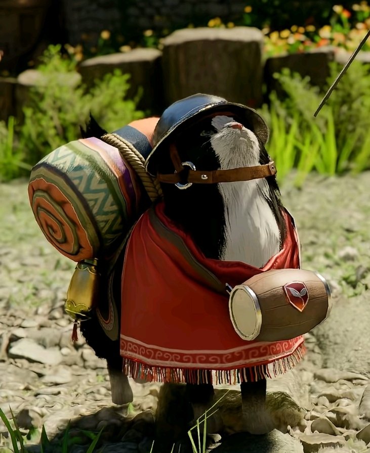 Zak Wylder tweet media