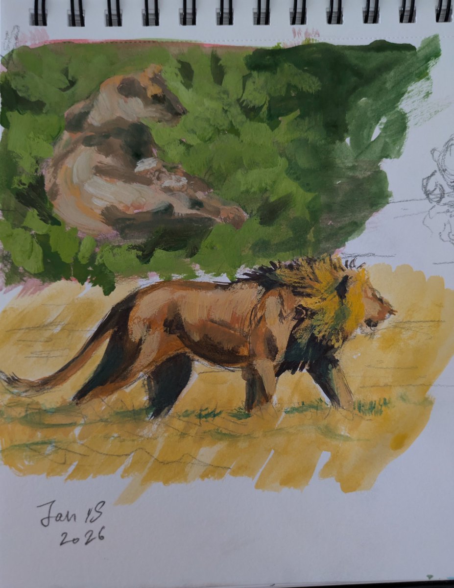 Yasmeen 🐻ياسمين tweet media