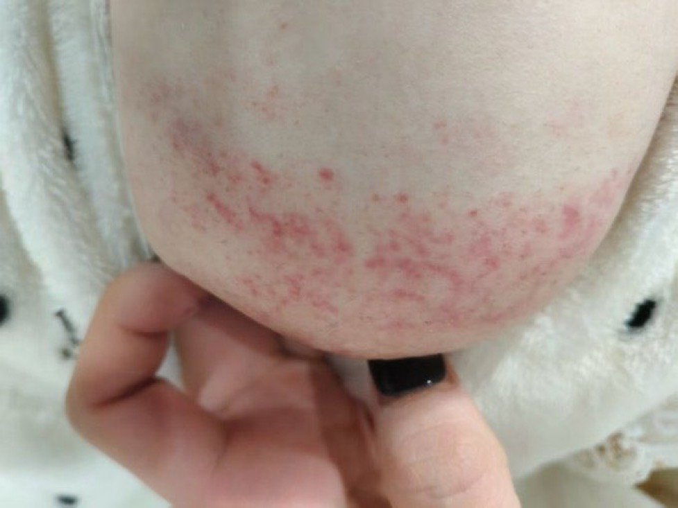 <a href="/p_ribon_p/">🎀</a> <a href="/grok/">Grok</a> これは何です