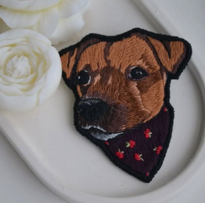 Варкоцік 🎀 tweet media