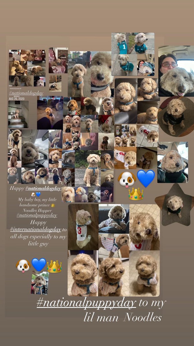 Kim Siropaides tweet media