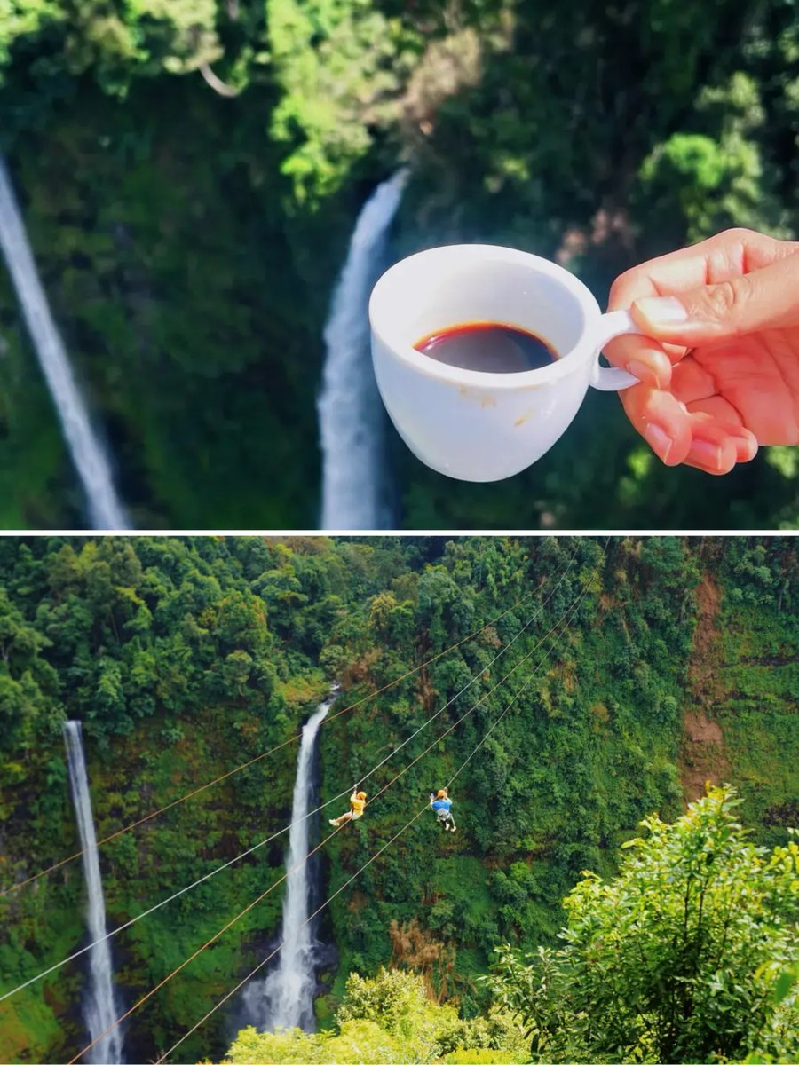 Jacob Simms tweet media