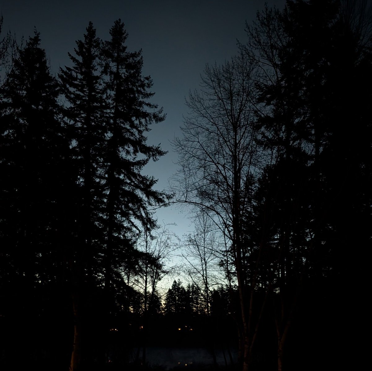 The Questing Geek tweet media