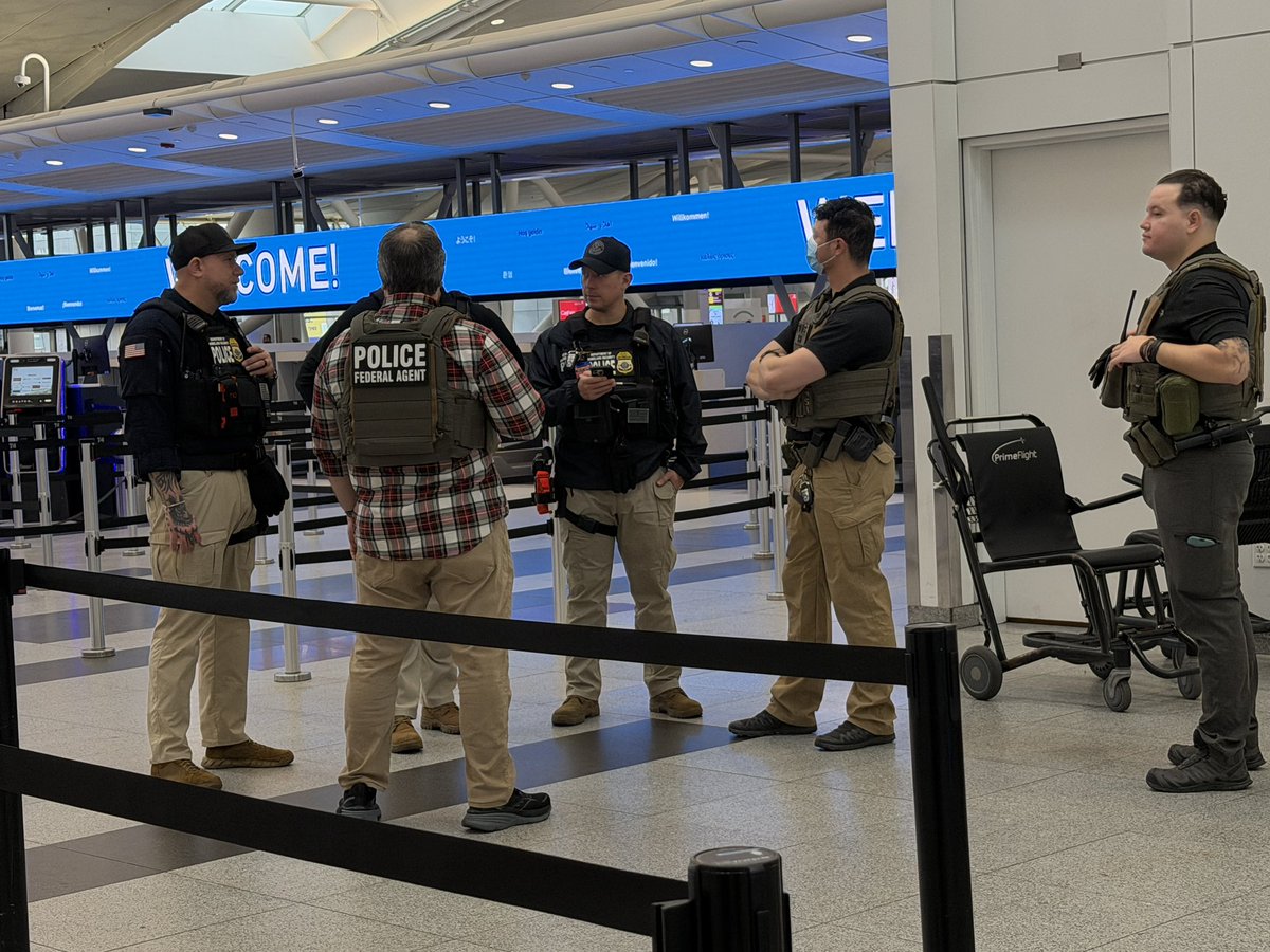 Sandi Bachom 📹 tweet media