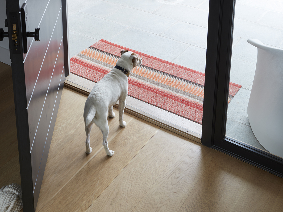 Pasquesis's tweet image. Something new for spring? Love the coral-striped rug and the pup... choose from Chilewich rugs in many sizes, patterns &amp;amp; colors. #Chilewich #rugs #DogoftheDay #spring