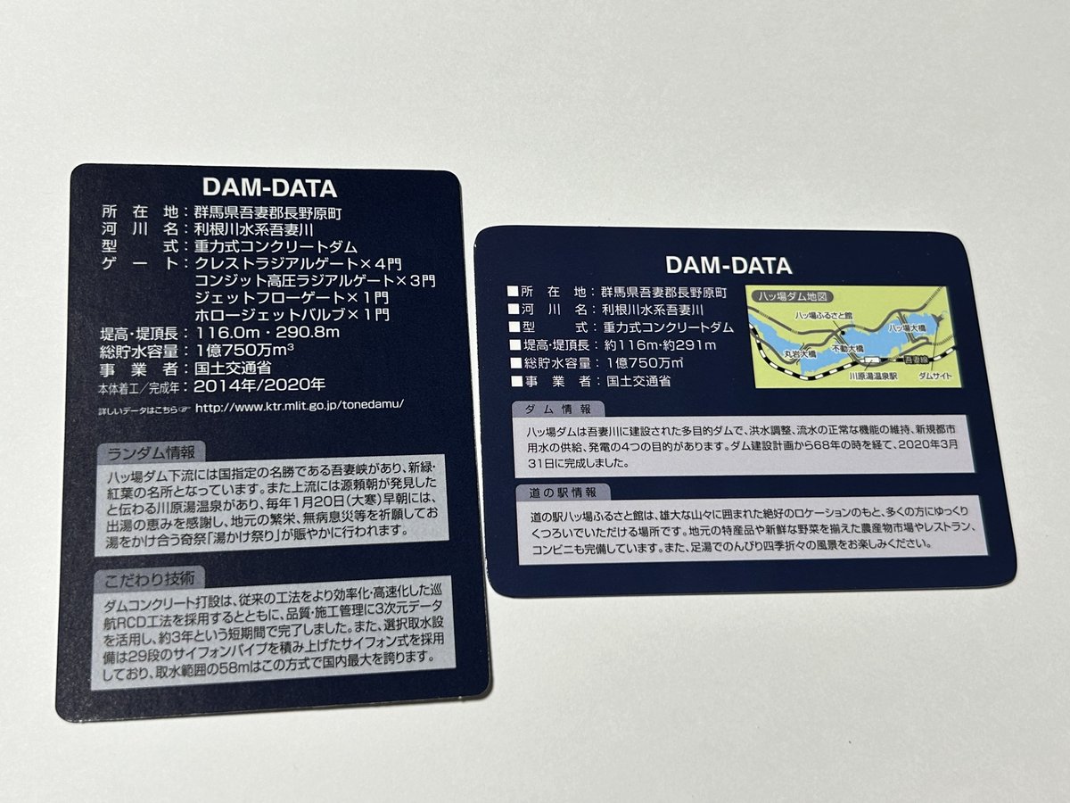 道の駅八ッ場ふるさと館でもらえたダムカード。八ッ場ダムから離れて