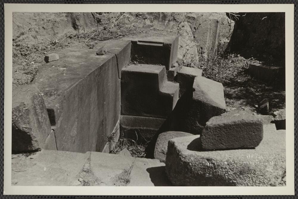 𝐓𝐡𝐞 𝐏𝐥𝐚𝐬𝐭𝐨𝐥𝐢𝐭𝐡𝐢𝐜 𝐏𝐚𝐬𝐭 tweet media