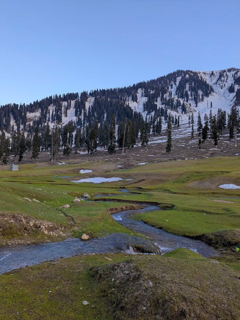 Antonio Bray tweet media