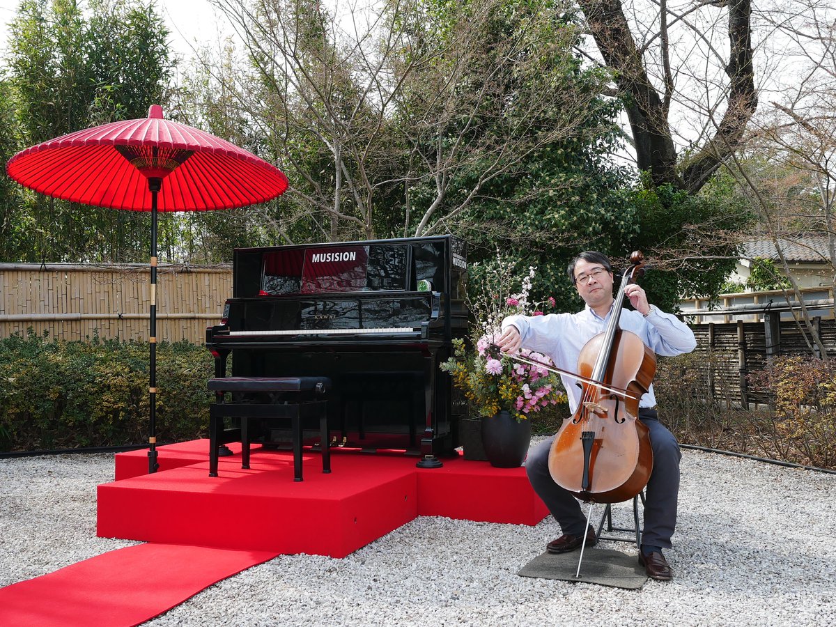 michi-cello tweet media