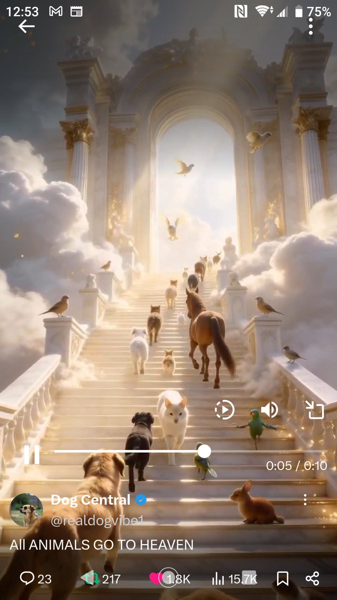 Mari Edwards tweet media