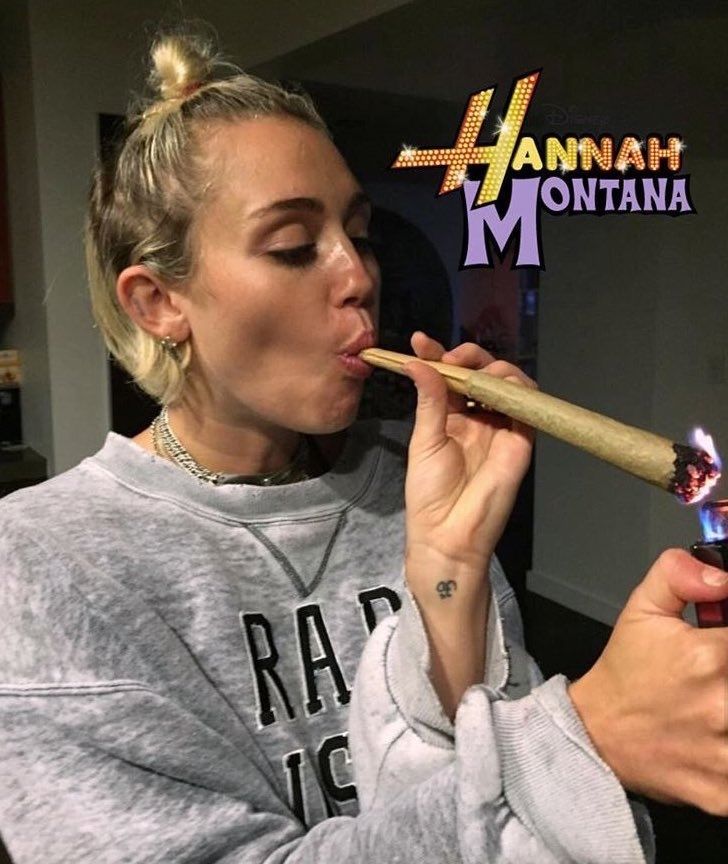 Weed Porn tweet media