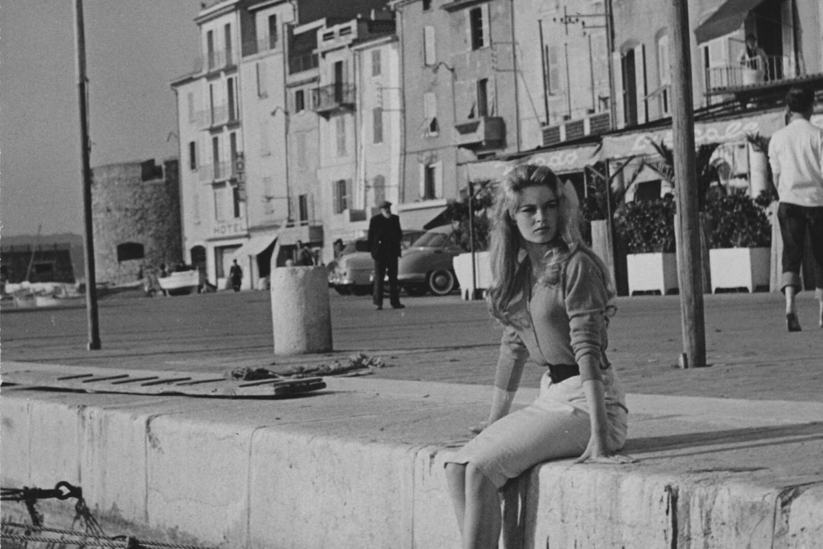 Claire Langoulant - Royaliste Légitimiste tweet media