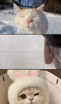 MY美伢 tweet media