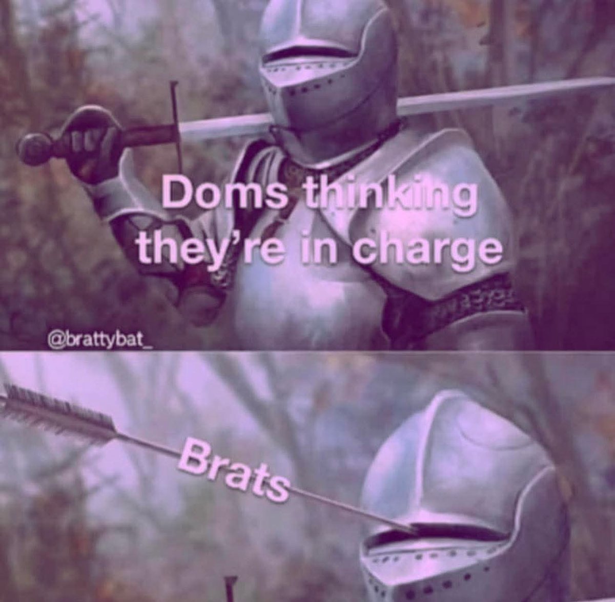 Kαƚʂυƙι tweet media