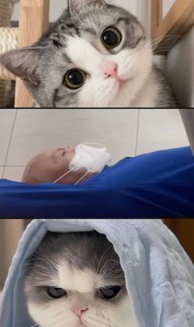 MY美伢 tweet media