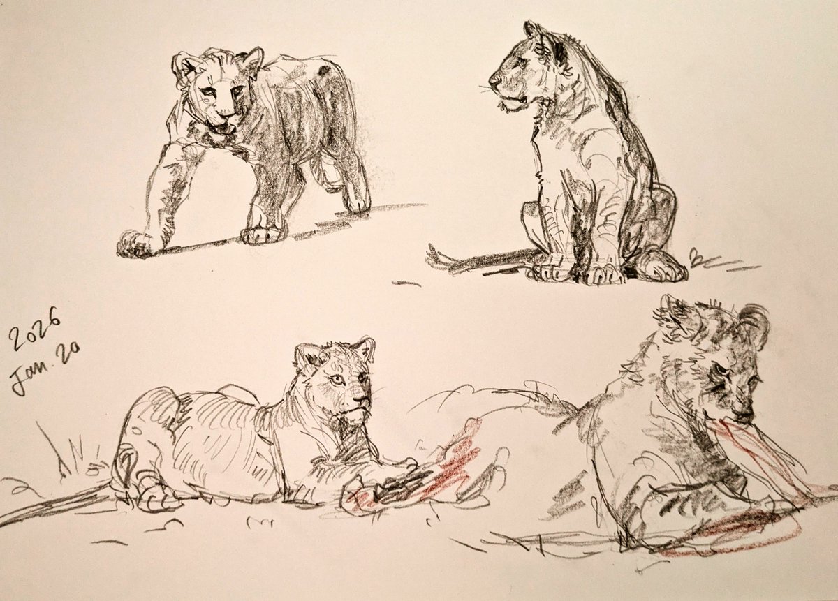 Yasmeen 🐻ياسمين tweet media