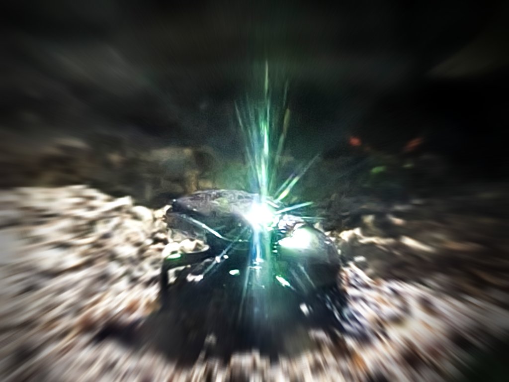 Fireb7799's tweet photo. I found the beetle with the most amount of Aura ever https://t.co/ZTFagodMJz