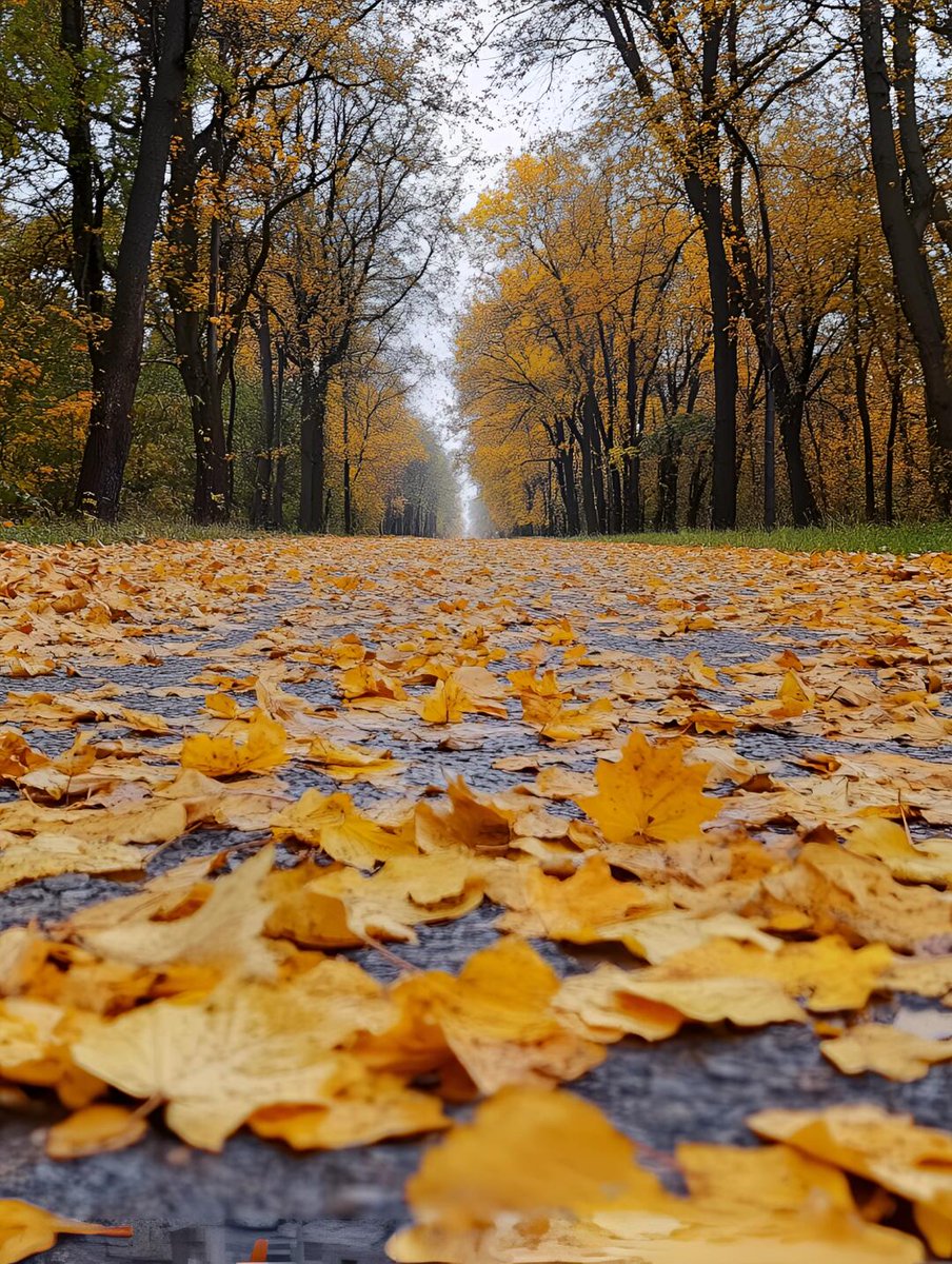 Abdullah Albuwiser tweet media