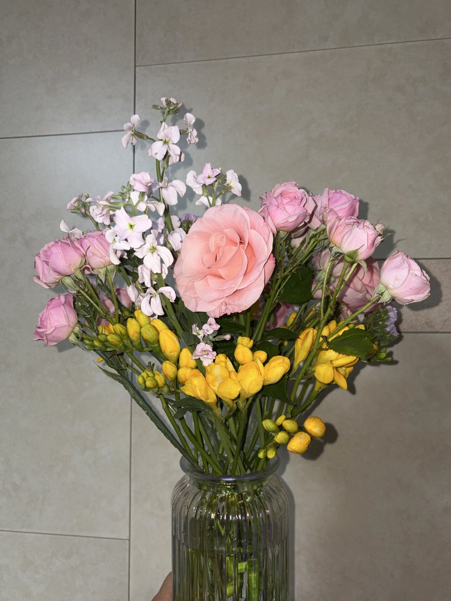 도토리 tweet media