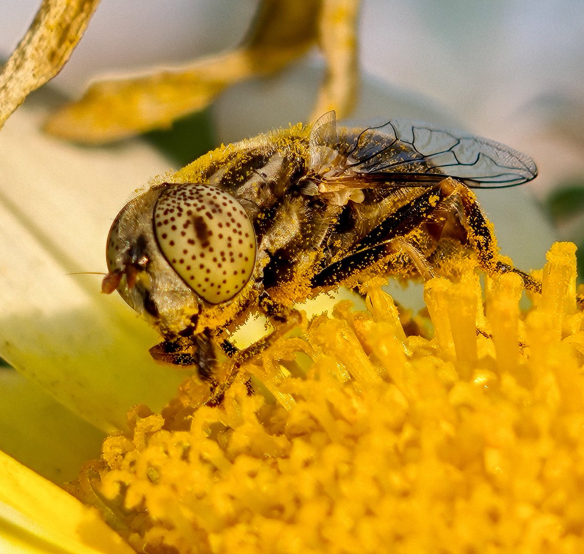 Pushpendra Kumar tweet media