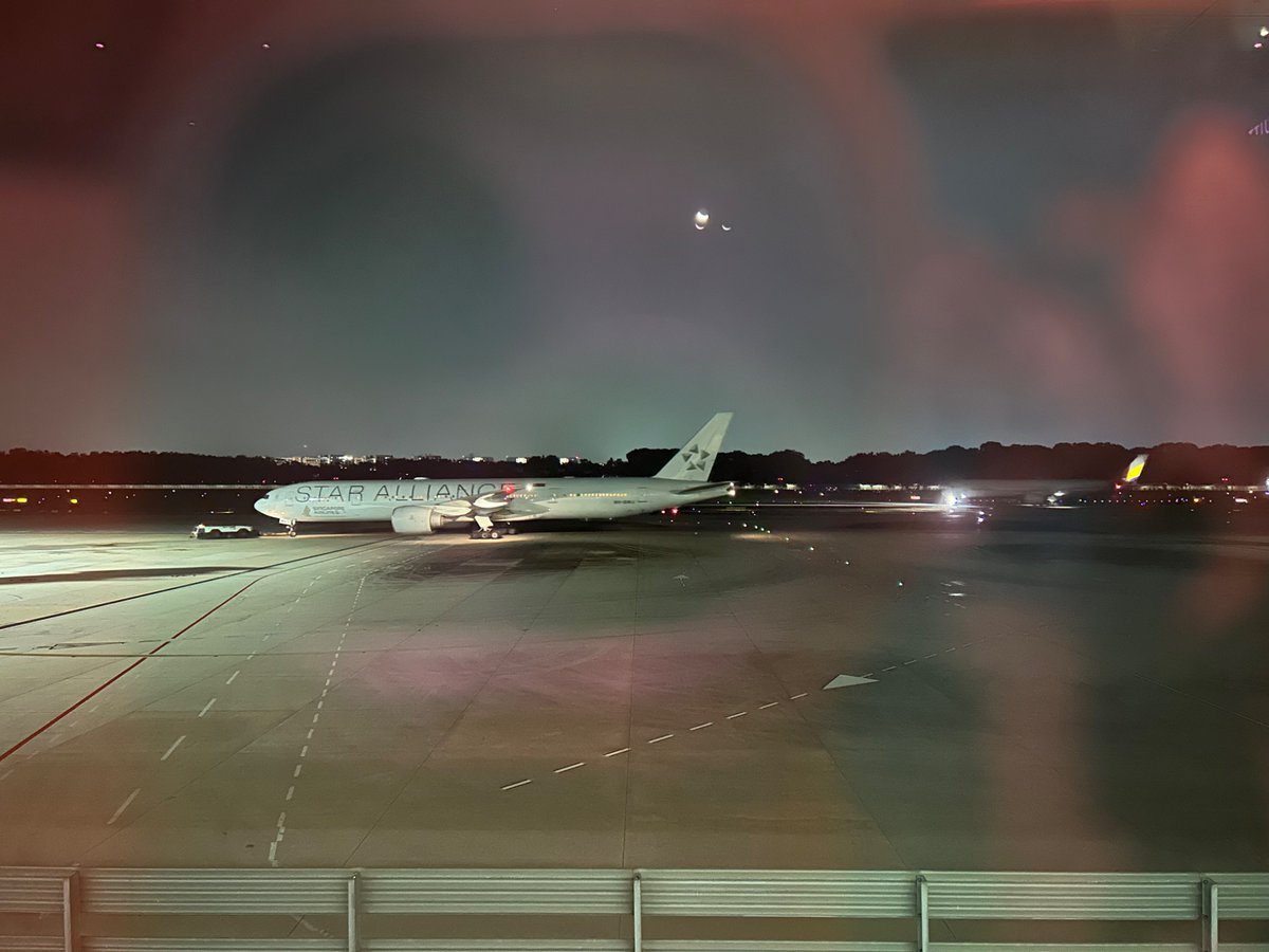 おそらくこの投稿からしばらく空きます
シロアラ👋