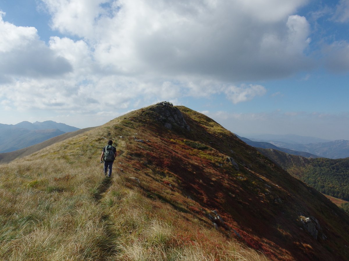 Università di Parma tweet media