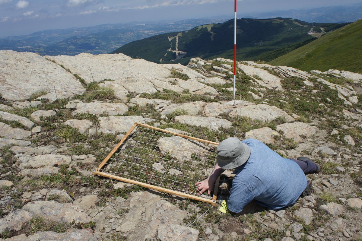 Università di Parma tweet media