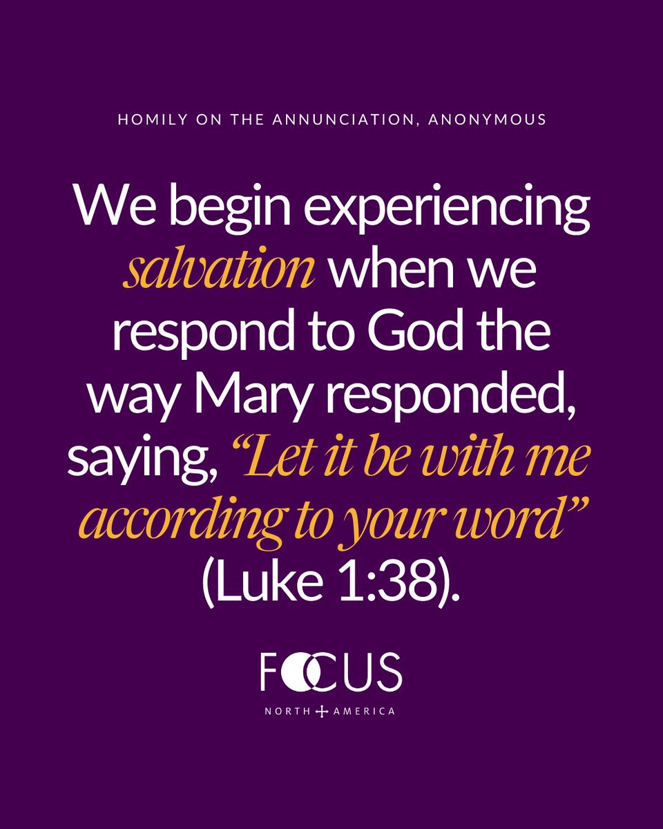 FOCUS North America tweet media