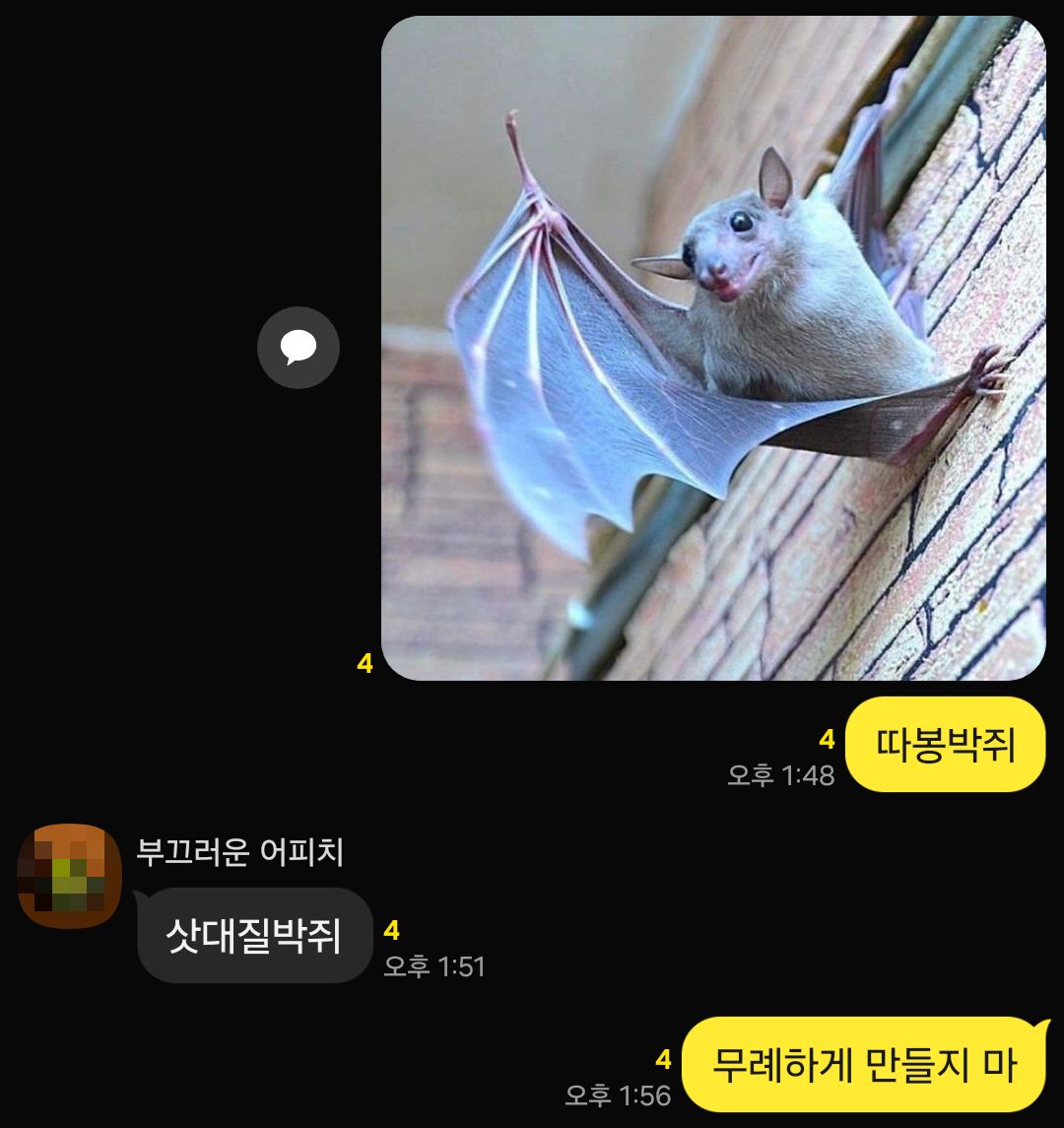 박쥐를 좋아하는 인간 tweet media