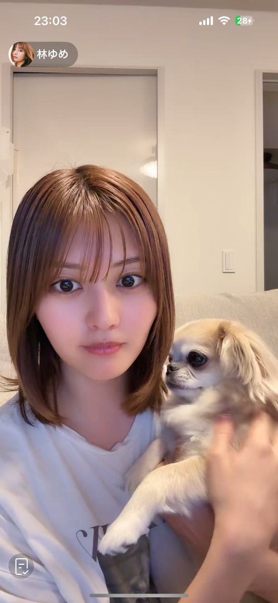久しぶりにゆめのライブ🐶ねむいおやすみ