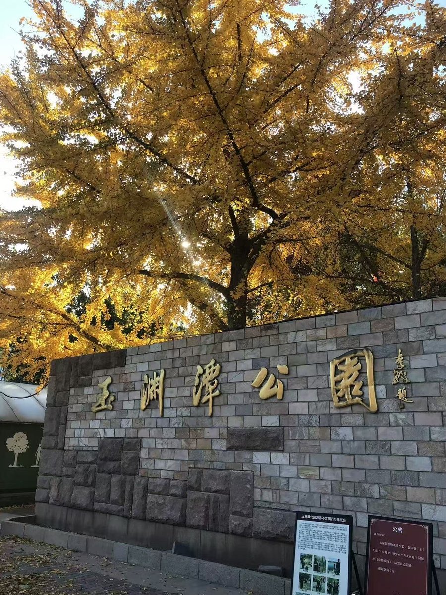 Harlodthephone tweet media