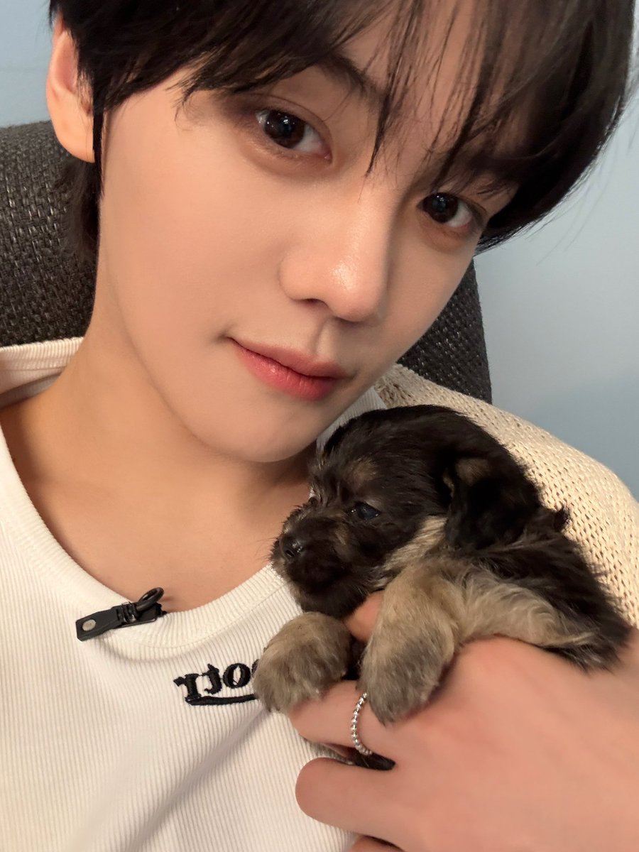 cute_MalRang2's tweet photo. @melon 규비니ㅣㅣㅣ🩵🐶🐶🩵 https://t.co/IHPQGQvpGp